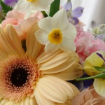 【フラワーアレンジメント】新春のお花の話