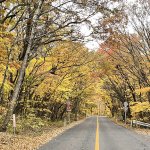 【宮城蔵王】紅葉ドライブに最高のタイミングでした！